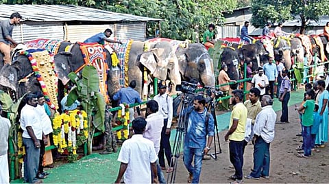 மேட்டுப்பாளையம் அருகே தேக்கம்பட்டியில் 26 யானைகளுடன் நலவாழ்வு முகாம் தொடக்கம்: ஓராண்டுக்கு பிறகு தோழிகளைக் கண்டதால் குதூகலம்