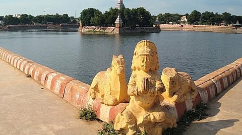 படம்: த.இளங்கோவன்