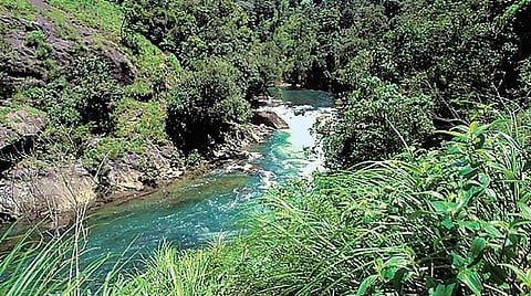 பசுமை எனது வாழ்வுரிமை: வீண்போகாத போராட்டம்