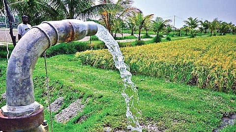 விதை முதல் விளைச்சல் வரை 14: நீர் மேலாண்மையில் மாற்றுப் பயிர்த் திட்டம்