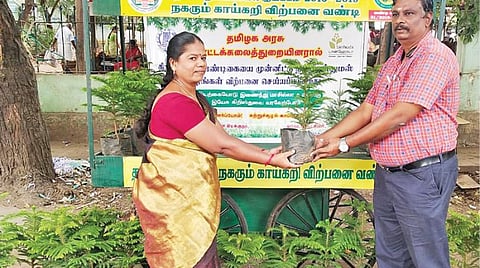 சொக்கிகுளம் உழவர் சந்தையில் அரக்கேரியா (கிறிஸ்துமஸ்) மரக்கன்று விற்பனையைத் தொடங்கி வைத்தார் தோட்டக்கலைத் துறை துணை இயக்குநர் கோ. பூபதி