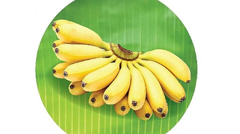 ஆங்கிலப் புத்தாண்டு 2020 பொதுப் பலன்: மகரம்