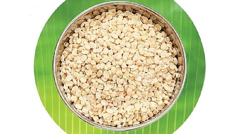 ஆங்கிலப் புத்தாண்டு 2020 பொதுப் பலன்: ரிஷபம்