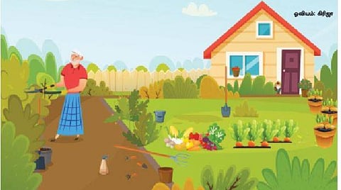 கணிதப் புதிர்கள் 16: தாத்தாவின் தோட்டம்