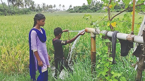 நெல் சாகுபடியில் நீர் சேமிப்புக் குழாய் பாசனம்