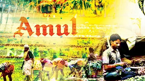 இந்திய வேளாண்மை: கொள்கைகள் அல்ல கட்டமைப்பே சரியான தீர்வு!