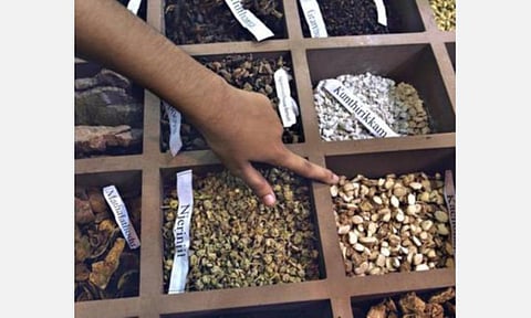 இன்று தேசிய சித்த மருத்துவ தினம்: சித்த மருத்துவத்தை பிரபலபடுத்த திட்டம்; உலக சுகாதார நிறுவனத்துடன் மத்திய அரசு ஒப்பந்தம்