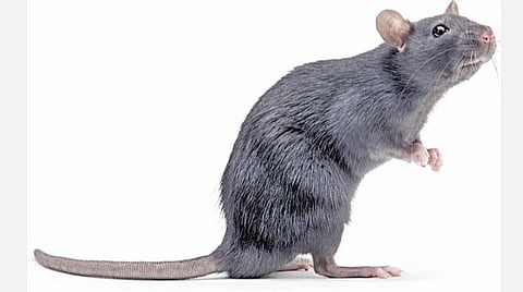 தேர்வுக்குத் தயாரா? - மருத்துவம் படிக்க உதவும் பாடம்!