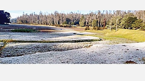 உதகையில் பனிப்பொழிவால் அவதி: வெள்ளிக் கம்பிகளாக காட்சியளித்த புல்வெளி