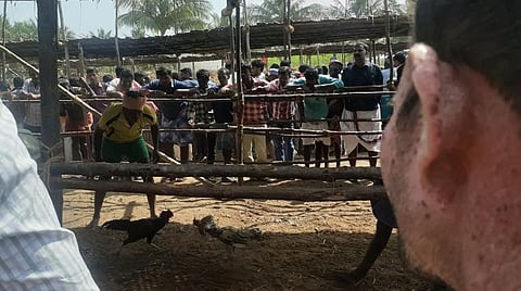 பூலாம்வலசு சேவல்கட்டு