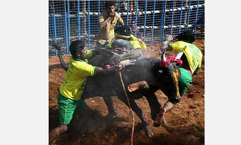 அவனியாபுரம், பாலமேட்டில் கோலாகலமாக நடந்த ஜல்லிக்கட்டு; அடங்க மறுத்த காளைகளை பாய்ந்து அடக்கிய வீரர்கள்: கார், மோட்டார் சைக்கிள் உட்பட ஒன்றரை கோடி ரூபாய்க்கு பரிசு மழை