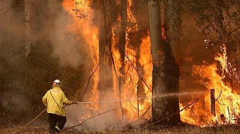 ஆஸ்திரேலியாவில் காட்டுத் தீயை தணித்த மழை