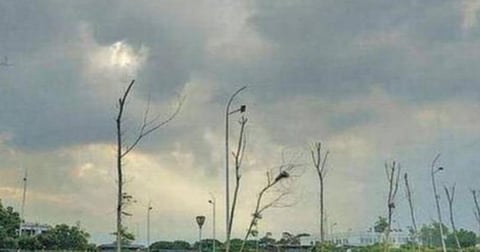 பிரதிநிதித்துவப் படம்