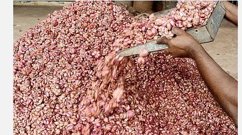 கோயம்பேடு சந்தையில் வரத்து அதிகரிப்பு: சாம்பார் வெங்காயம் விலை ரூ.60 ஆக குறைந்தது