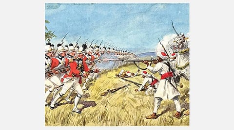 டிங்குவிடம் கேளுங்கள்: தாவரமும் ஒளிருமா?