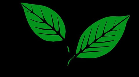 பிரதிநிதித்துவப் படம்