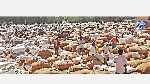 வாழப்பாடி சேலம் வேளாண்மை உற்பத்தியாளர் கூட்டுறவு விற்பனை சங்கத்தில் நேற்று முன்தினம் நடந்த ஏலத்தின்போது, விவசாயிகள் கொண்டு வந்திருந்த பருத்தி மூட்டைகள் சங்க வளாகத்தில் வைக்கப்பட்டிருந்தது.