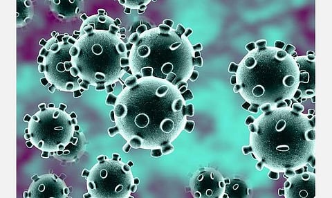 சித்த மருத்துவத்தில் ஐயசுரம், சந்நிபாத சுரம் என கணிப்பு?- கரோனா வைரஸ் பாதிப்பு சிகிச்சை விளம்பரங்களை நம்ப வேண்டாம்: தேசிய சித்த மருத்துவ நிறுவன இயக்குநர் எச்சரிக்கை