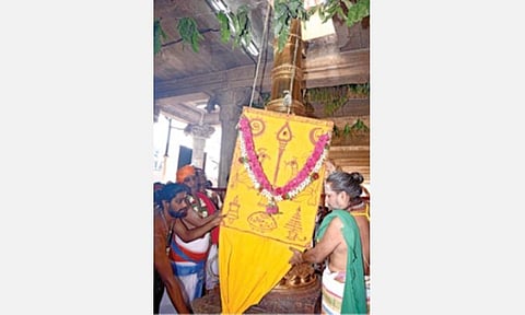 பழநியில் தைப்பூசத் திருவிழா தொடக்கமாக நடைபெற்ற கொடியேற்ற நிகழ்ச்சியில் பக்தர்களுக்கு சிறப்பு அலங்காரத்தில் அருள்பாலித்த வள்ளி, தெய்வானை சமேத முத்துக்குமார சுவாமி.