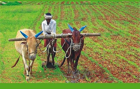 கோப்புப்படம்