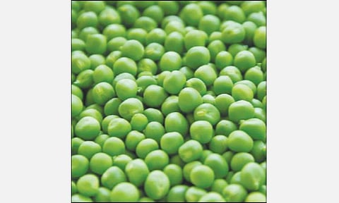 பட்டாணி இறக்குமதி கட்டுப்பாடுகளை நீக்க வேண்டும்: மத்திய அமைச்சர் பியூஷ்கோயலுக்கு, முதல்வர் பழனிசாமி கடிதம்