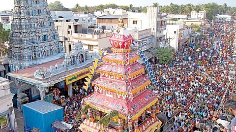பழநி தைப்பூச விழா தேரோட்டத்தில் பக்தர்கள் தேரை வடம்பிடித்து இழுக்க தேரின் பின்னால் தள்ளி உதவிய கோயில் யானை கஸ்தூரி.