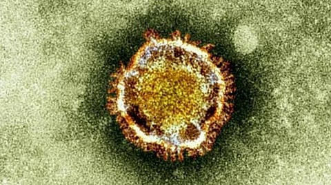 கரோனா வைரஸ் பரவலை தடுக்கும் வழிமுறைகள்: சேலம் ஆட்சியர் அறிவுறுத்தல்