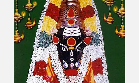 இந்த வாரம் இப்படித்தான்! வார நட்சத்திர பலன்கள் - (பிப்ரவரி 17 முதல் 23ம் தேதி வரை) மகம், பூரம், உத்திரம் - ‘சொல்வாக்கு ஜோதிடர்’ ஜெயம் சரவணன்