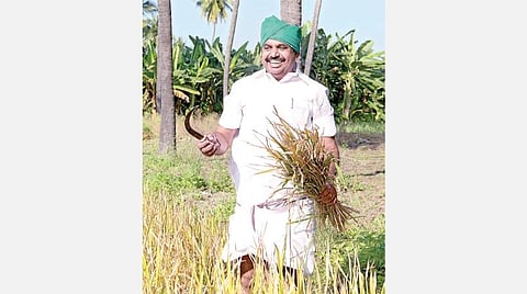 கடந்த பொங்கல் பண்டிகையன்று எடப்பாடி அருகே உள்ள தனது சொந்த ஊரான சிலுவம்பாளையத்தில் நெற்கதிர்களை அறுவடை செய்த முதல்வர்.