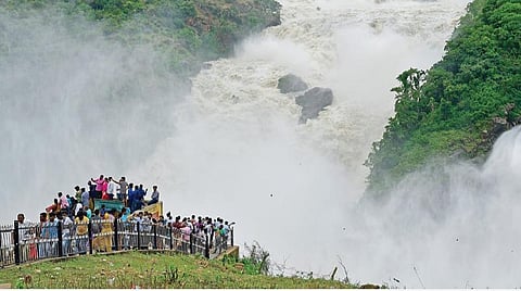 நதிகள் பிறந்தது நமக்காக! - 15: வனங்கள் வளருது கபினி ஆற்றினாலே!