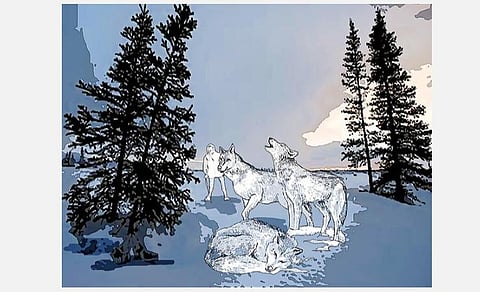 மாய உலகம்: நான் ஓநாயாக மாறியது எப்படி?