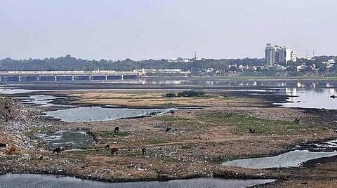 அடையாறு ஆற்றை மாசுபடுத்துவோர் மீது வழக்கு தொடர்ந்து இழப்பீடு வசூலிக்க வேண்டும்- அரசு துறைகளுக்கு பசுமை தீர்ப்பாயம் உத்தரவு