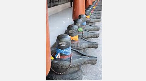 உயிர் வளர்க்கும் திருமந்திரம் 113: உயிரே சேரிடம் அறிந்து சேர்