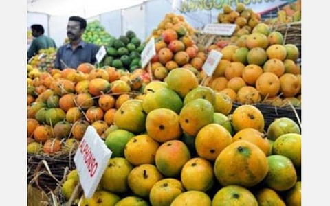 இயற்கை விவசாயத்தில் விளைந்த மாம்பழங்கள் முதன்முறையாக வெளிநாடுகளுக்கு ஏற்றுமதி- முதல்கட்டமாக 4 ஆயிரம் மெட்ரிக் டன் அனுப்பப்படுகிறது