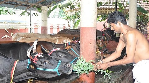 இந்த வாரம் உங்களுக்கு இப்படித்தான்! நட்சத்திர பலன்கள் (மார்ச் 9 முதல் 15 வரை) அஸ்வினி, பரணி, கார்த்திகை - ‘சொல்வாக்கு ஜோதிடர்’ ஜெயம் சரவணன்