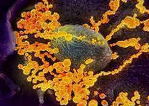 கேரளாவில் மேலும் ஒருவருக்கு கரோனா வைரஸ் பாதிப்பு உறுதி: இந்தியாவில் எண்ணிக்கை 40 ஆக உயர்வு