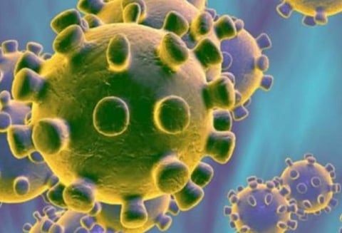 ஜப்பான் நாட்டில் இருந்து கிருஷ்ணகிரிக்குத் திரும்பிய தம்பதிக்கு கோவிட்-19 பரிசோதனை