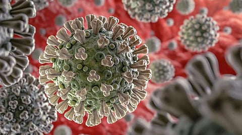 பிரதிநிதித்துவப் படம்.