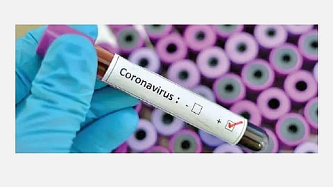 அலசல்: தனியார் நிறுவனங்களையும் ஈடுபடுத்தலாமே!