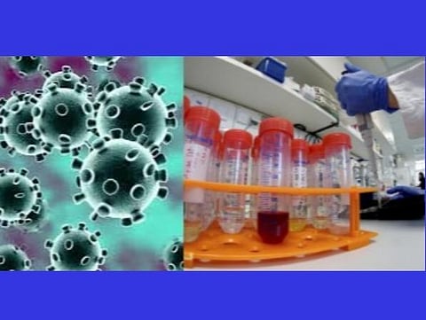 கரோனா வைரஸ்; தமிழகம், புதுவையில் 3 இடங்களில் ஆய்வுக்கூடங்கள்: மத்திய அரசு தகவல்