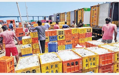 பாம்பனில் இருந்து வெளியூர் சந்தைகளுக்கு அனுப்பத் தயாராக உள்ள மீன்கள்.