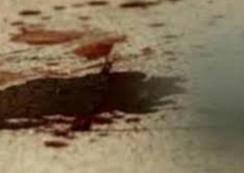 பிரதிநிதித்துவப் படம்