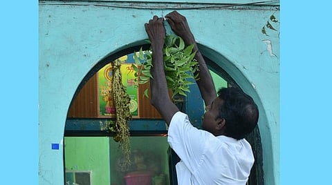 ஊமைத்துரையைக் காப்பாற்றிய வேப்பிலை: கரோனாவைத் துரத்துமா?