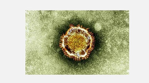 பத்மஸ்ரீ விருது பெற்ற முன்னாள் பொற்கோயில்‘ஹசூரி ராகி’ கரோனா வைரஸால் மரணம்