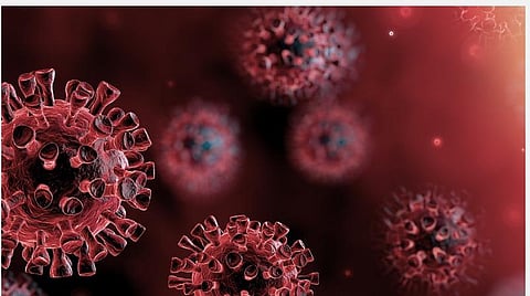 பிரதிநிதித்துவப் படம்.