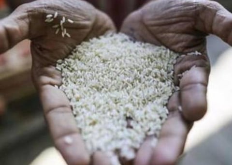 பிரதிநிதித்துவப் படம்