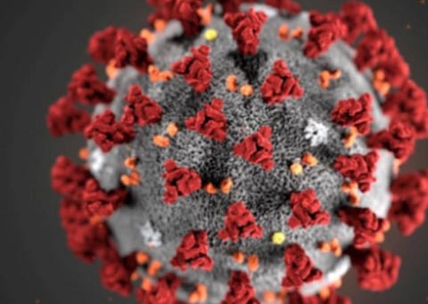 பிரதிநிதித்துவப் படம்