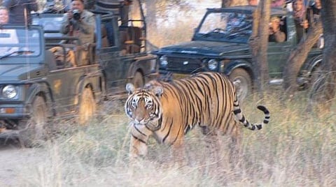 பிரதிநிதித்துவப் படம்