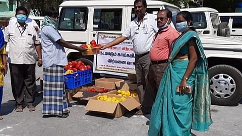 நோய் எதிர்ப்பு சக்தியை ஊக்குவிக்கும் வண்ண குடைமிளகாய்: மதுரை தோட்டக்கலைத் துறை விற்பனை