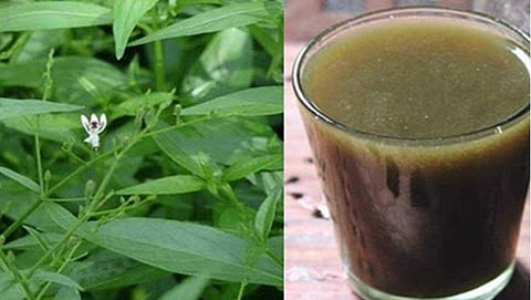 போலி கபசுர குடிநீர் விற்றால் நடவடிக்கை: சிவகங்கை மாவட்ட சித்த மருத்துவ அலுவலர் எச்சரிக்கை